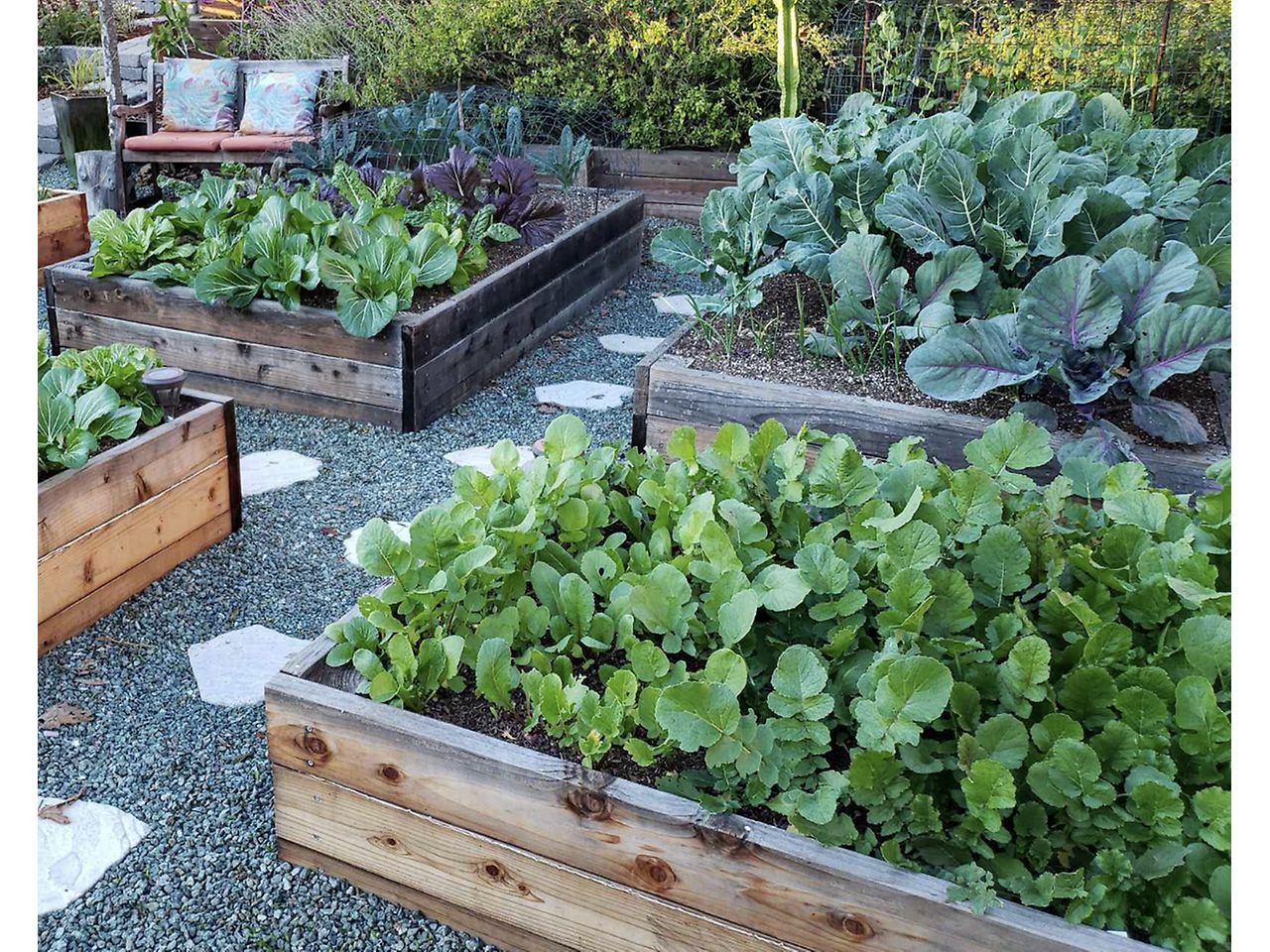 Screen Shot 2026-01-27 at 9.27.13 AM.png - Seeds of Learning and Fun image