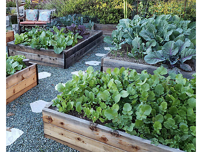 Screen Shot 2026-01-27 at 9.27.13 AM.png - Seeds of Learning and Fun image